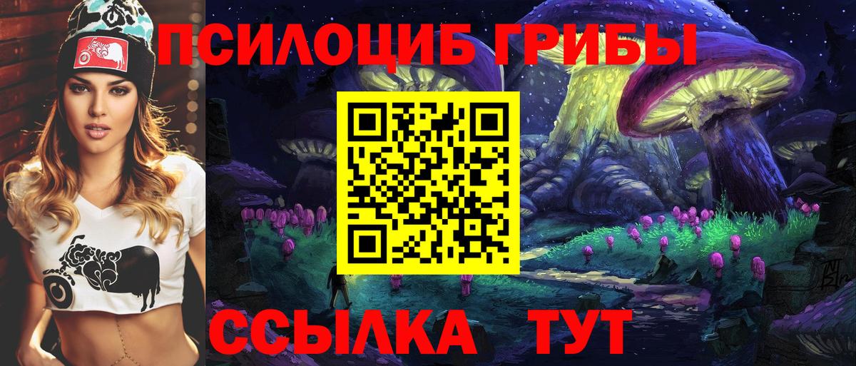Галлюциногенные грибы GOLDEN TEACHER  Псилоцибиновые грибы Cubensis  Вход с VPN  Муром 